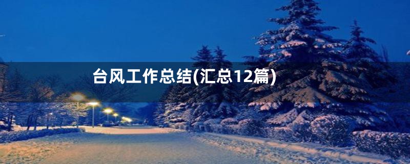 台风工作总结(汇总12篇)