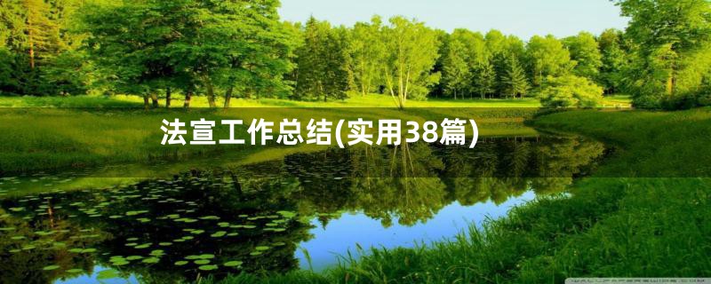 法宣工作总结(实用38篇)