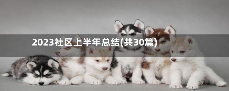 2023社区上半年总结(共30篇)