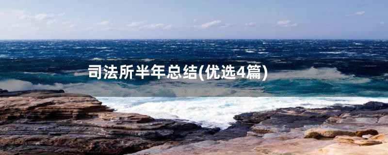 司法所半年总结(优选4篇)