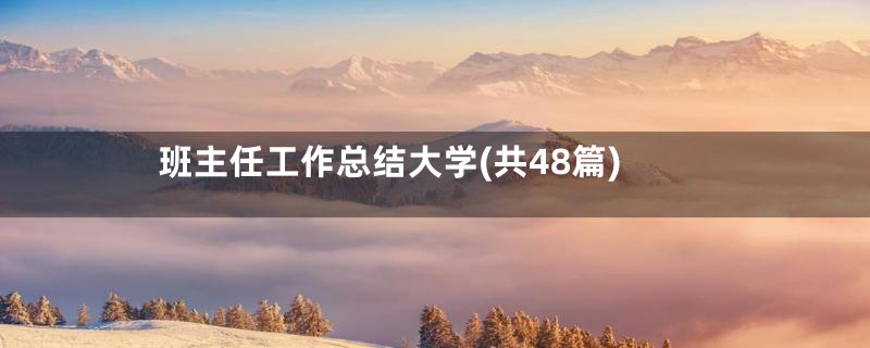 班主任工作总结大学(共48篇)