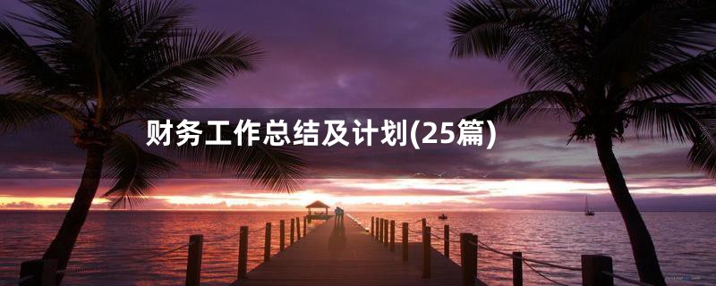 财务工作总结及计划(25篇)