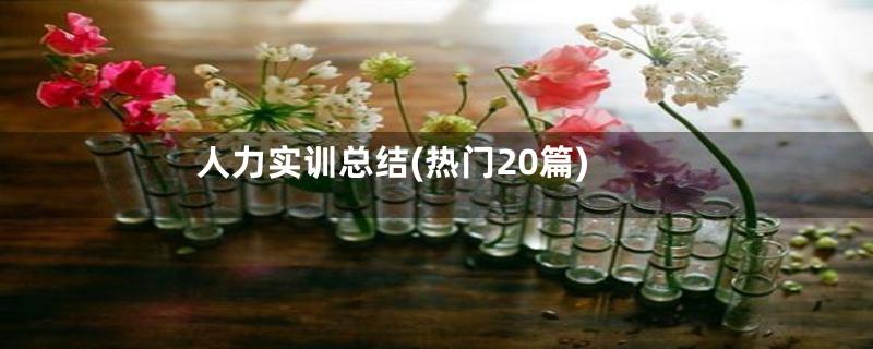 人力实训总结(热门20篇)
