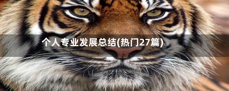 个人专业发展总结(热门27篇)