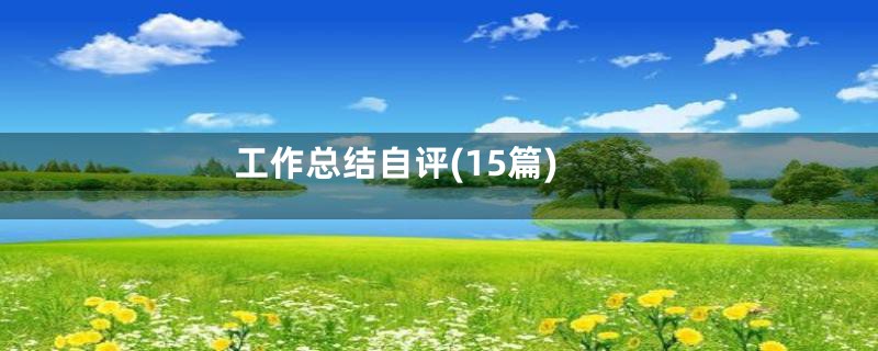 工作总结自评(15篇)
