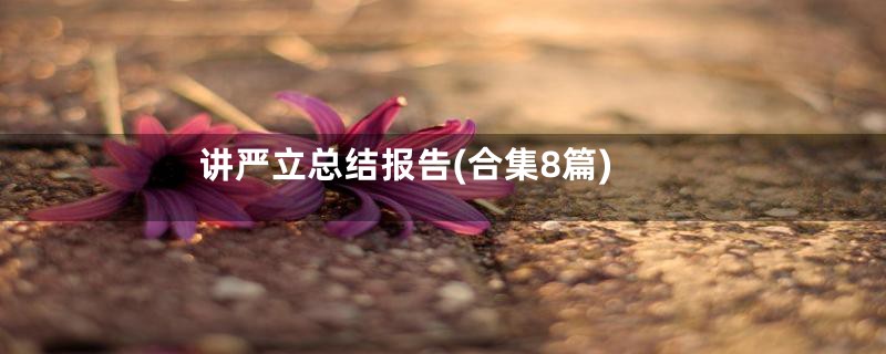 讲严立总结报告(合集8篇)