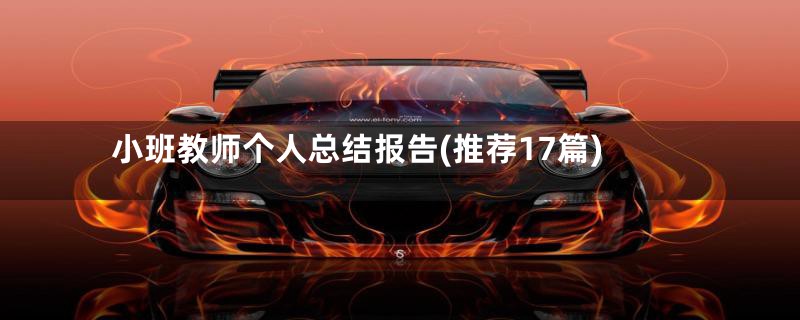 小班教师个人总结报告(推荐17篇)