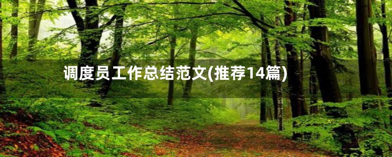 调度员工作总结范文(推荐14篇)
