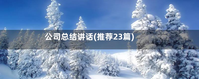 公司总结讲话(推荐23篇)