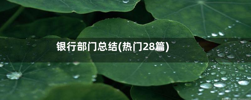 银行部门总结(热门28篇)