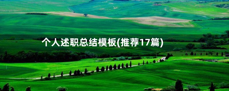 个人述职总结模板(推荐17篇)