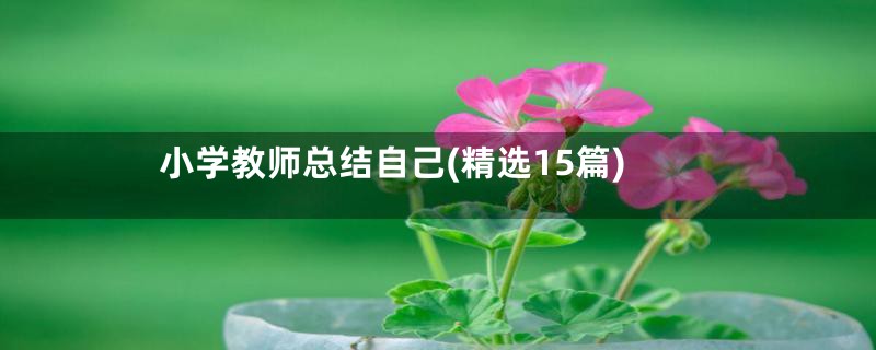 小学教师总结自己(精选15篇)