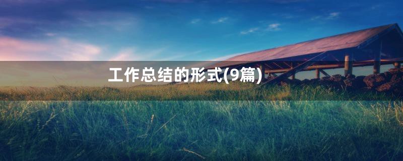 工作总结的形式(9篇)