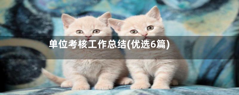 单位考核工作总结(优选6篇)
