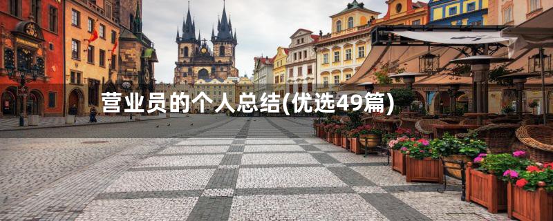 营业员的个人总结(优选49篇)