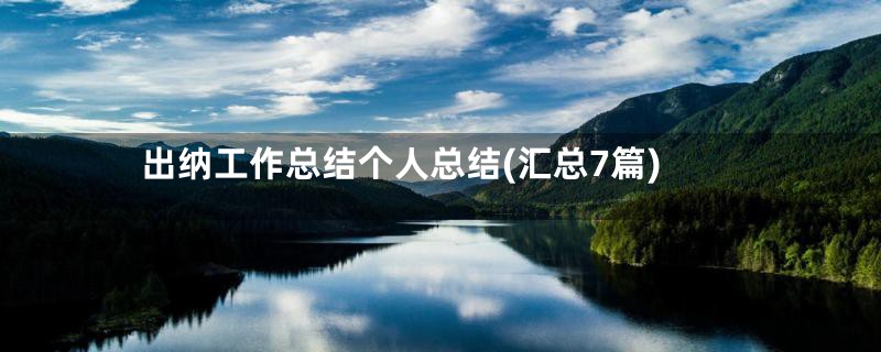 出纳工作总结个人总结(汇总7篇)