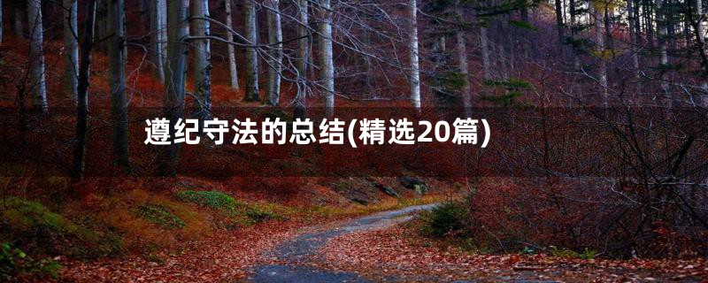 遵纪守法的总结(精选20篇)