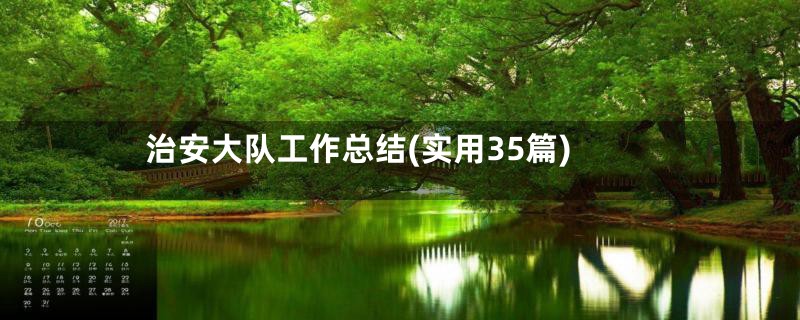 治安大队工作总结(实用35篇)