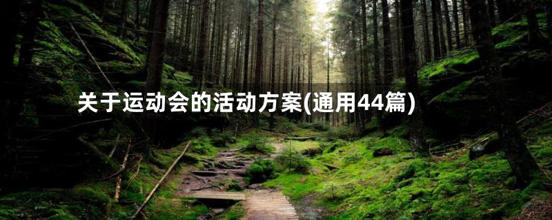 关于运动会的活动方案(通用44篇)