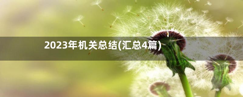 2023年机关总结(汇总4篇)