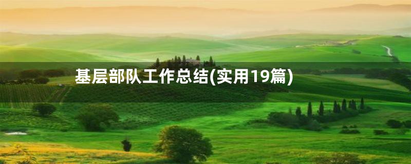 基层部队工作总结(实用19篇)