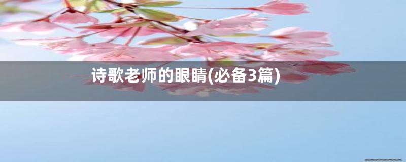 诗歌老师的眼睛(必备3篇)