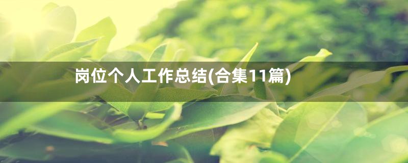 岗位个人工作总结(合集11篇)