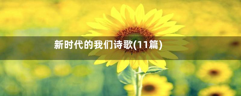 新时代的我们诗歌(11篇)