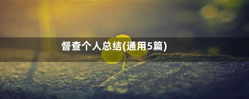 督查个人总结(通用5篇)