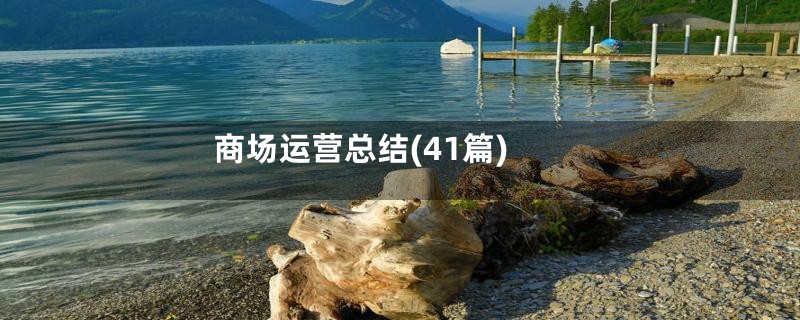 商场运营总结(41篇)