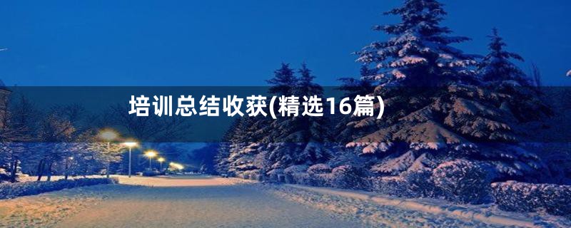 培训总结收获(精选16篇)