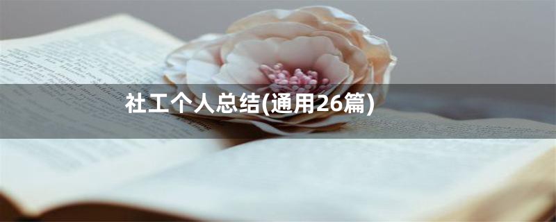 社工个人总结(通用26篇)