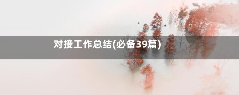 对接工作总结(必备39篇)