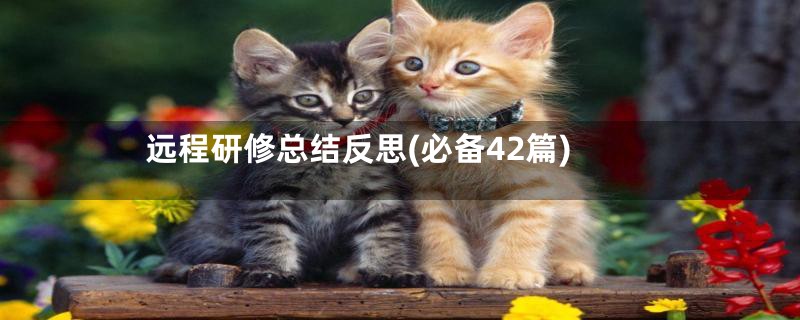 远程研修总结反思(必备42篇)