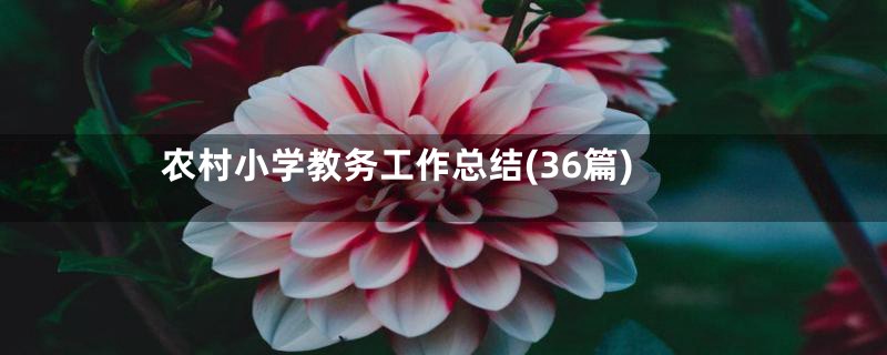 农村小学教务工作总结(36篇)