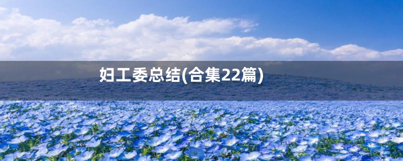 妇工委总结(合集22篇)