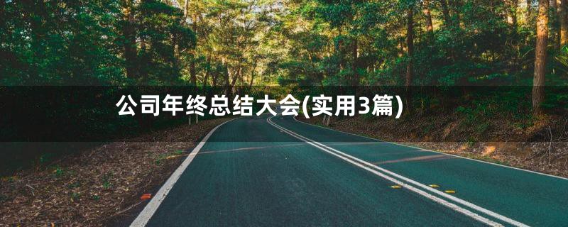 公司年终总结大会(实用3篇)