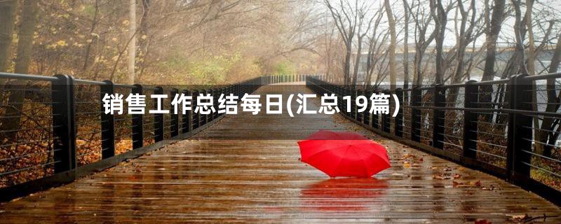 销售工作总结每日(汇总19篇)