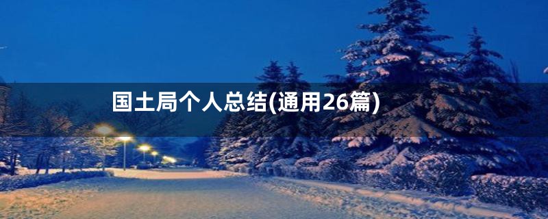 国土局个人总结(通用26篇)