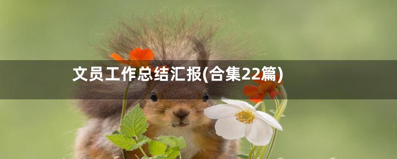 文员工作总结汇报(合集22篇)