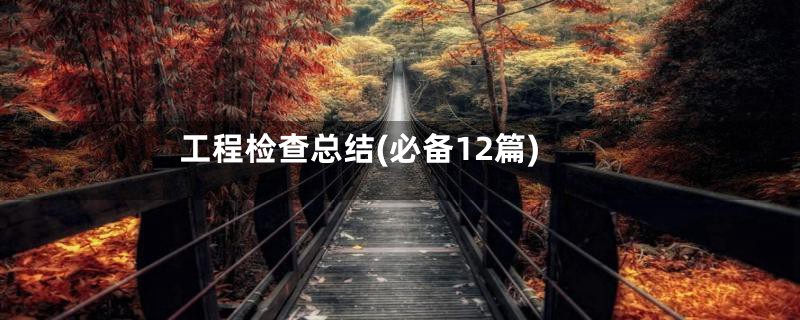 工程检查总结(必备12篇)