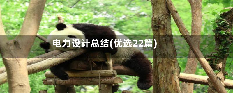 电力设计总结(优选22篇)