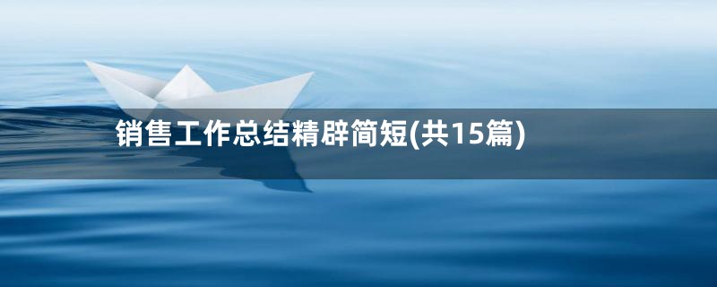 销售工作总结精辟简短(共15篇)
