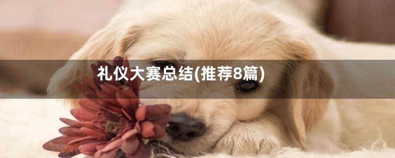 礼仪大赛总结(推荐8篇)