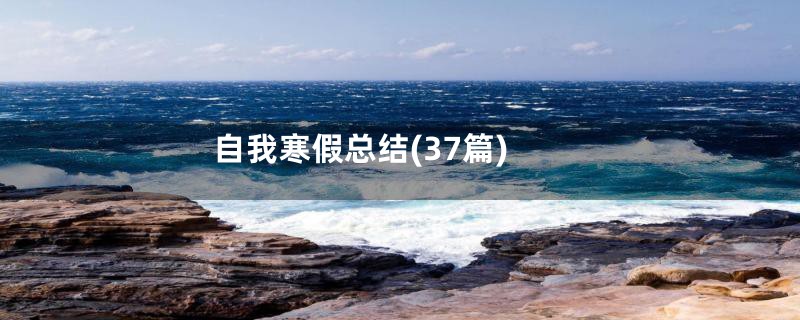 自我寒假总结(37篇)
