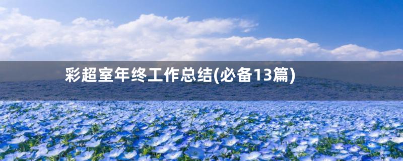 彩超室年终工作总结(必备13篇)