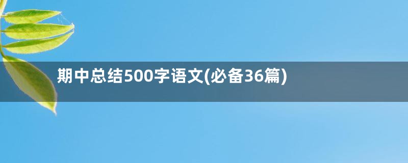 期中总结500字语文(必备36篇)