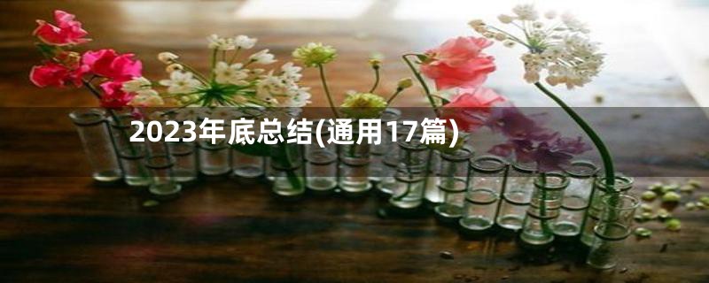 2023年底总结(通用17篇)
