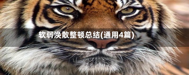 软弱涣散整顿总结(通用4篇)
