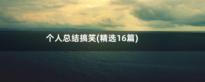 个人总结搞笑(精选16篇)